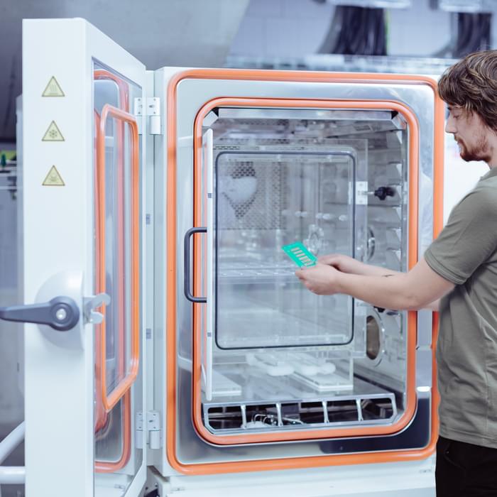 sample examined during MFG testing in the TIYO laboratory